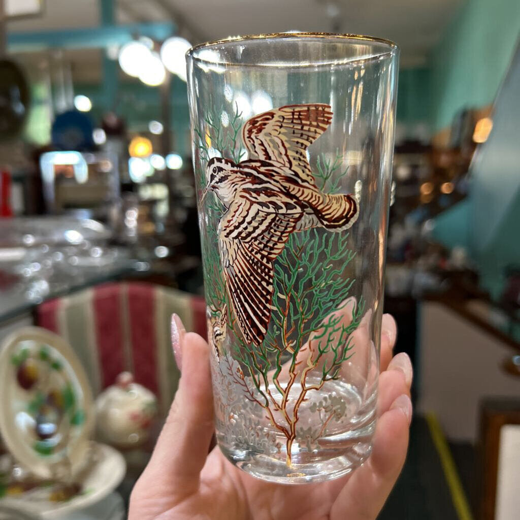 West Virginia Glass Birds