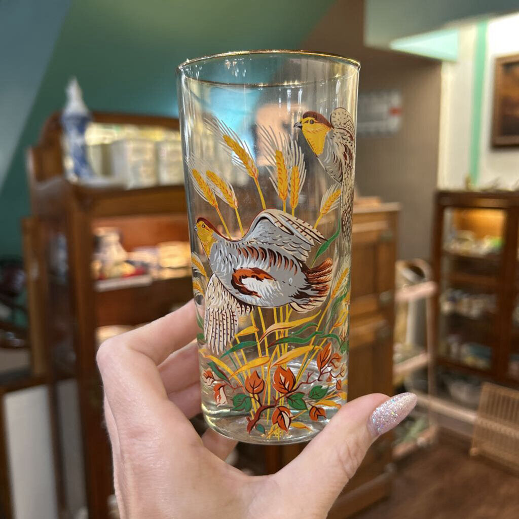 West Virginia Glass Birds