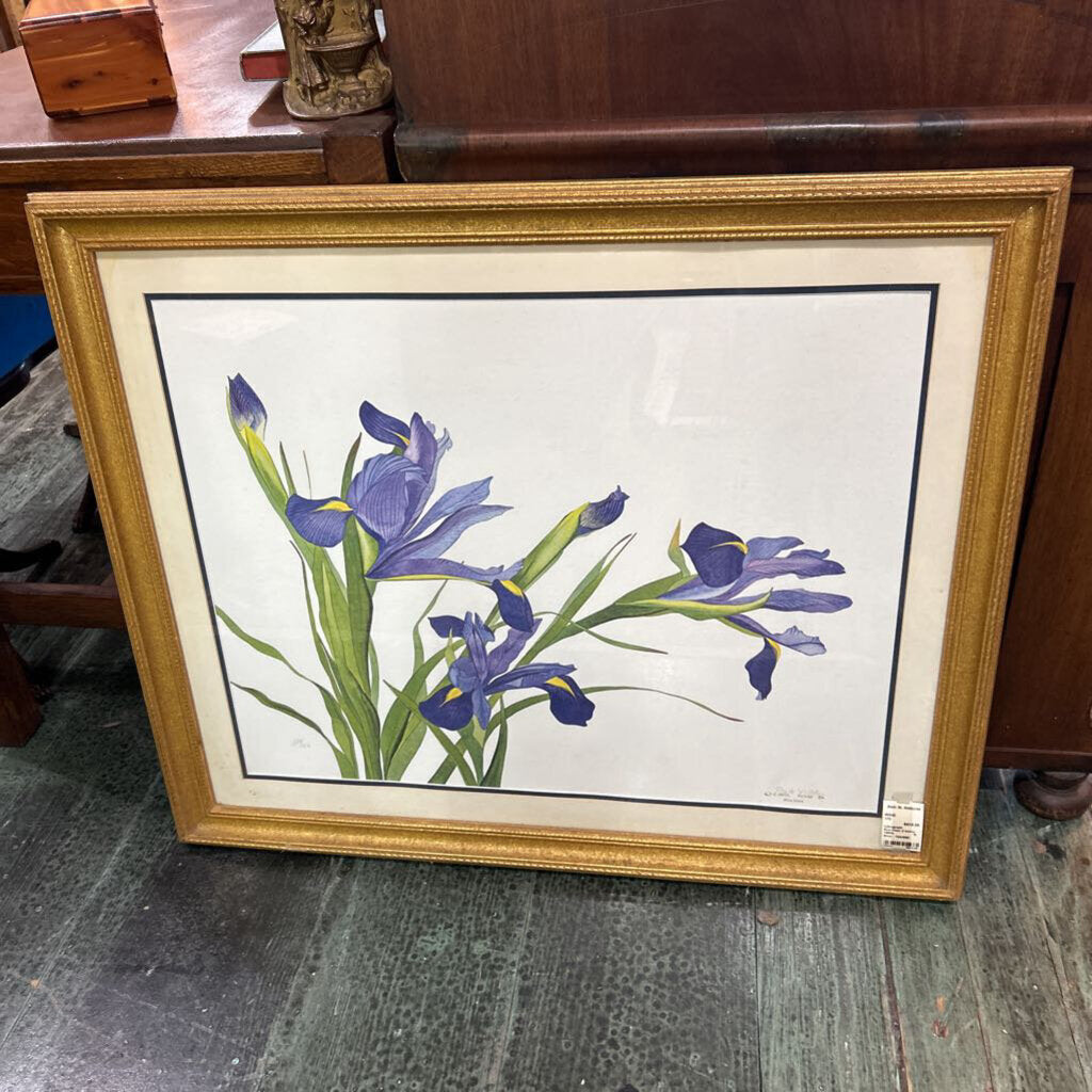Lithograph Blue Irises; E McKey