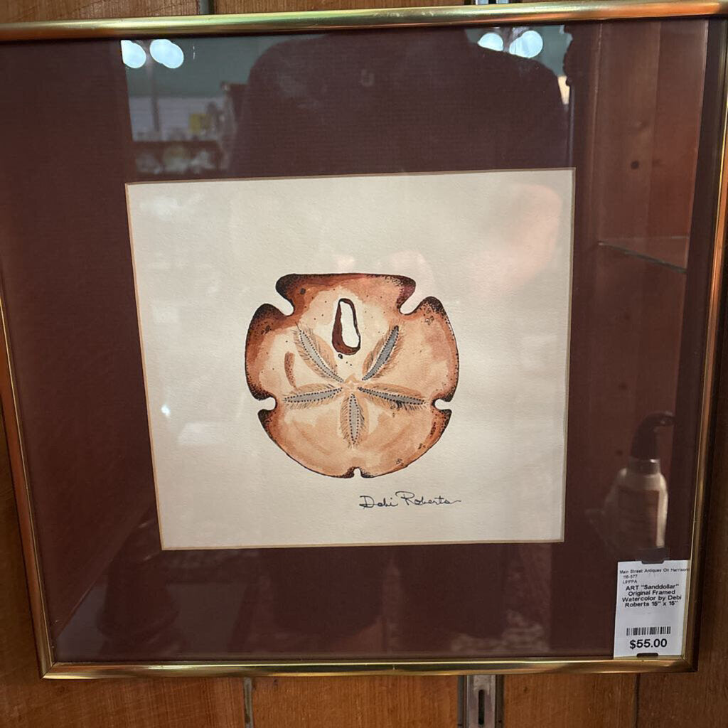 "Sand Dollar" Original Framed Watercolor by Debi Roberts