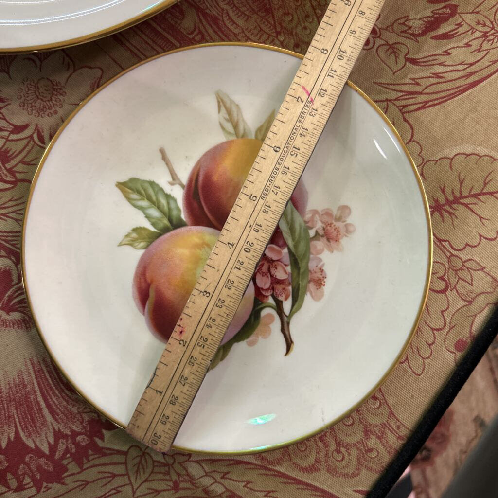 Eschenbach Desert Plate