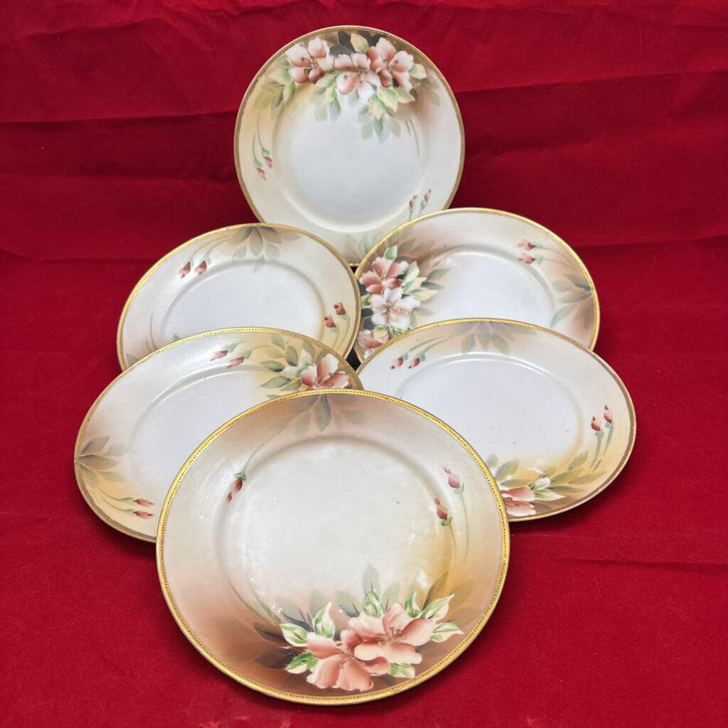 Antique Nippon Floral Side Plates 6.25' set 6