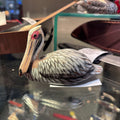 Hand painted carved pelican figurine