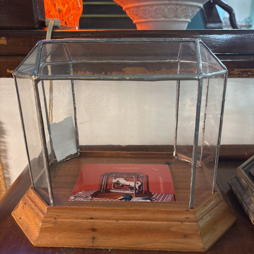 Leaded Glass Rectangular display case w/ wood base- AS IS
