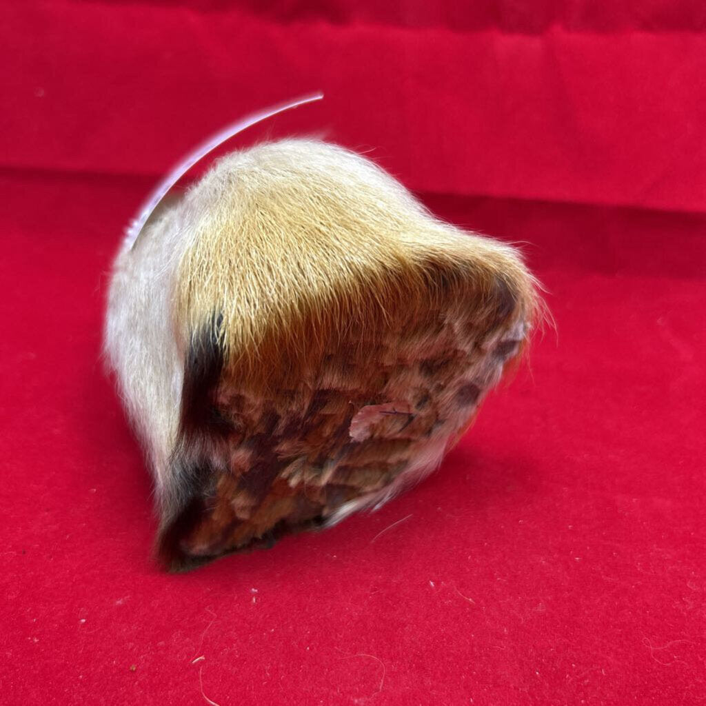 Vtg Real-Fur Fennec Fox Figurine 1980s