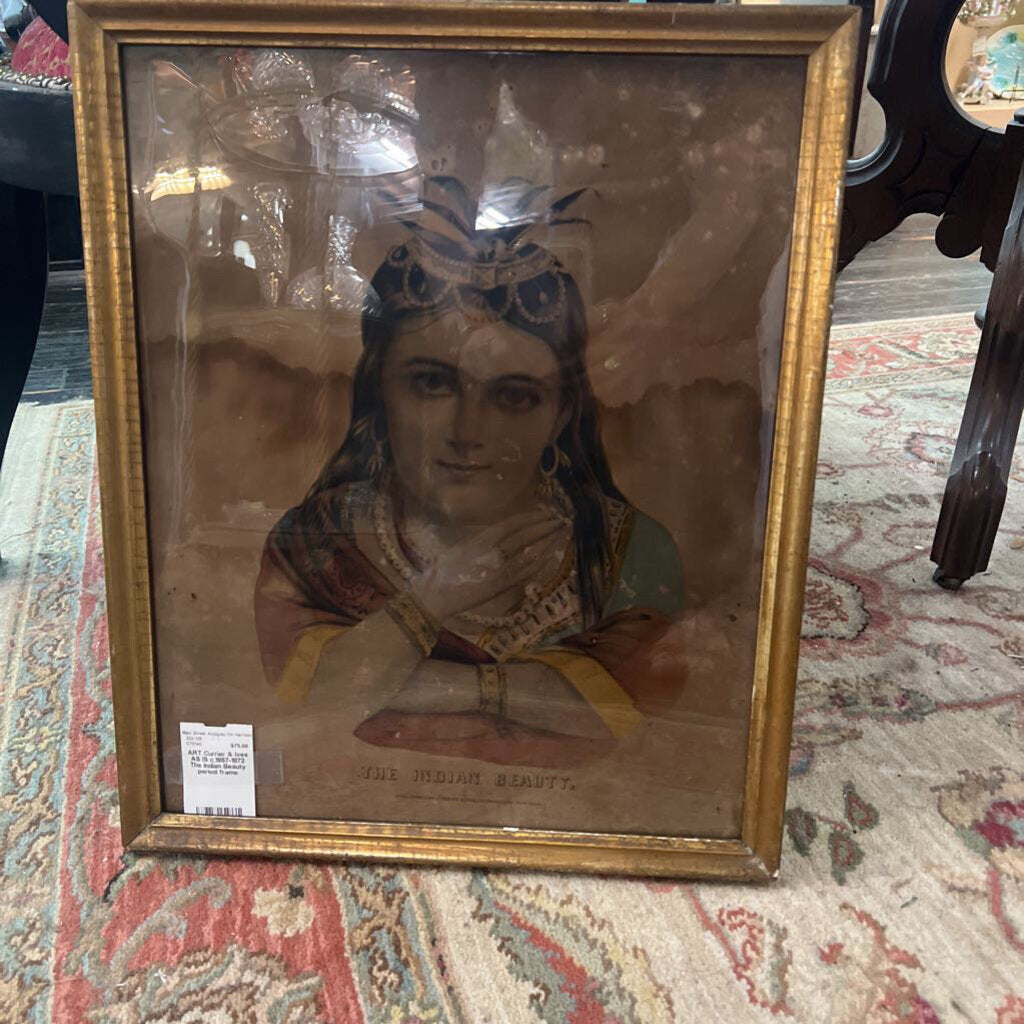 The Indian Beauty