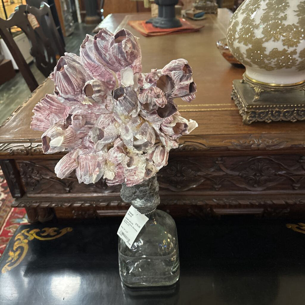 Coastal Decor Barnacle Bottle Art