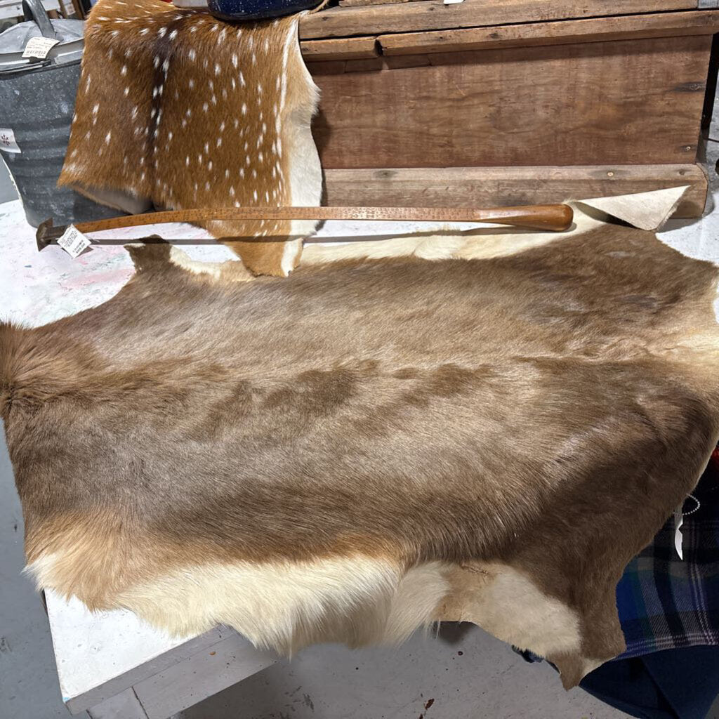 Blesbok Antelope Hide