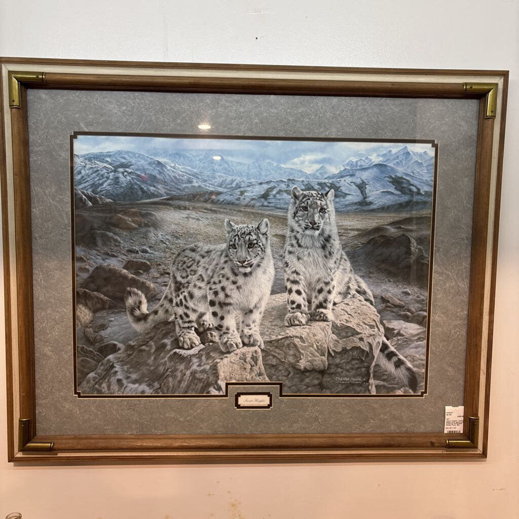 "Secret Heights" Limited Edition print; signed and numbered; #4745/4800; Charles Frace, 1991