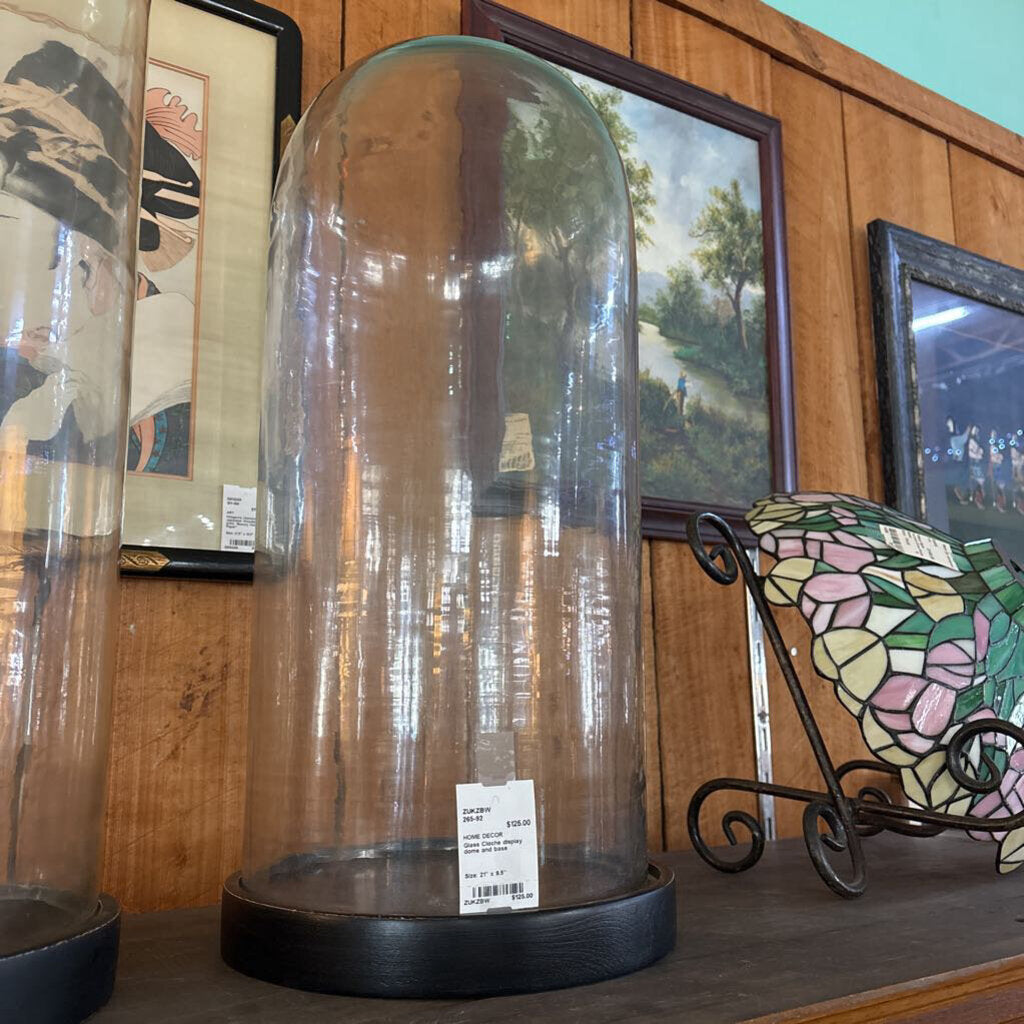 Glass Cloche display dome and base