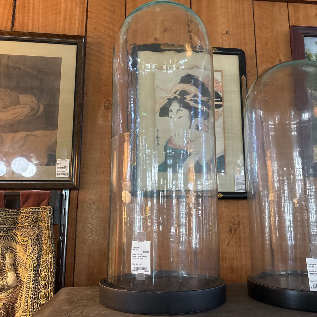 Glass Cloche display dome and base