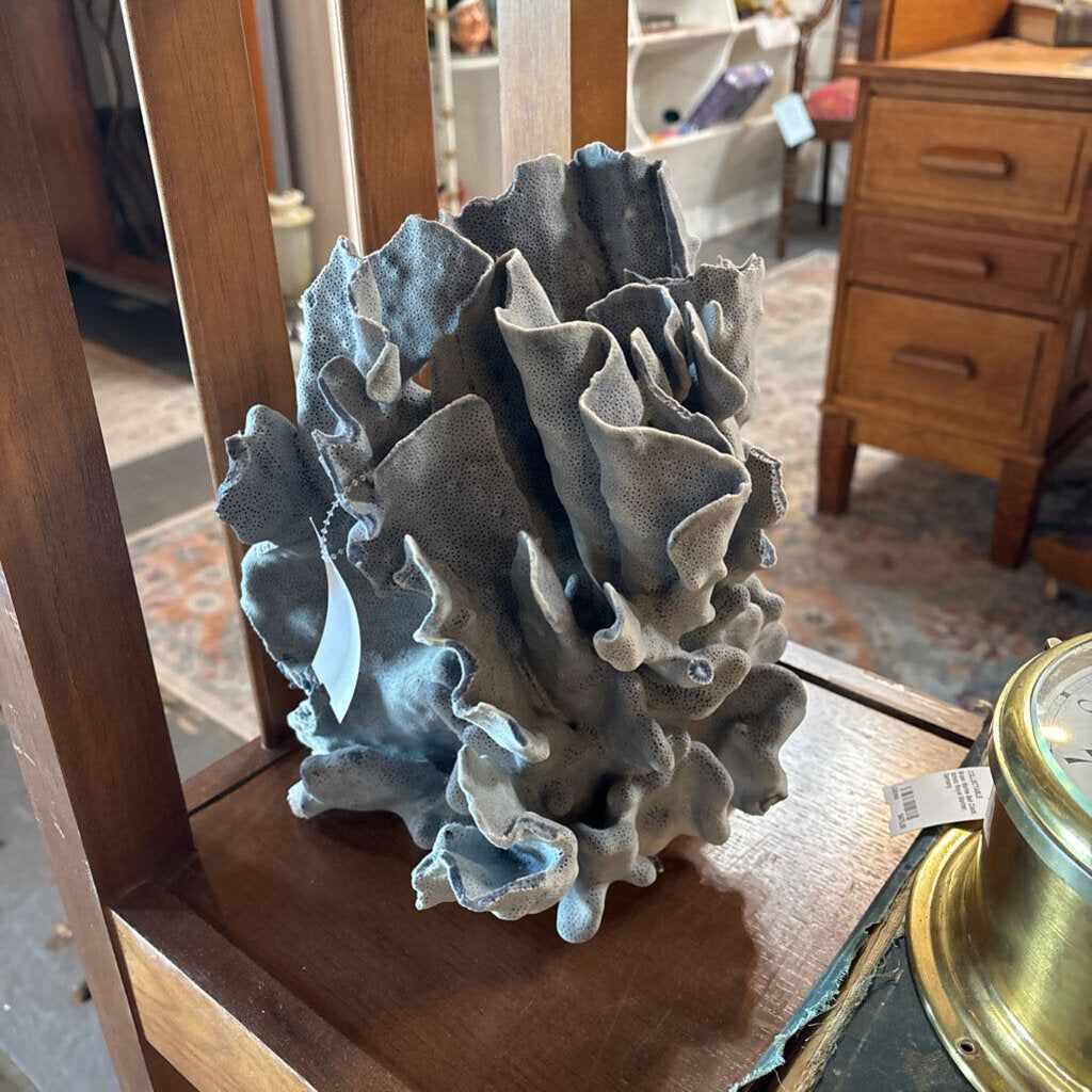 Blue Ridge Coral Specimen
