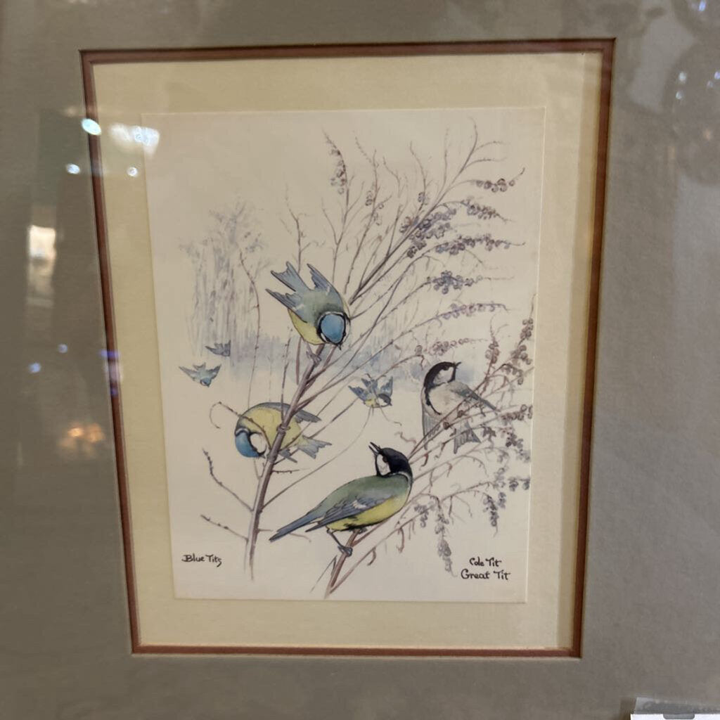 The Country Diary of Edwardian Lady, Book Page, Blue Tits.