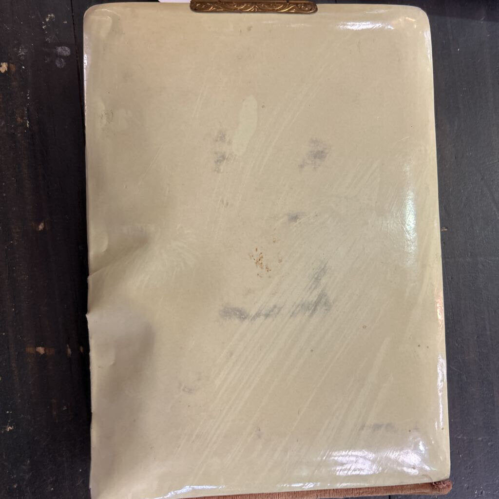 Antique Victorian Celluloid Covered Photo Album, Metal Clasp, Austrian Lady Dirndl, Floral. c.1890s.